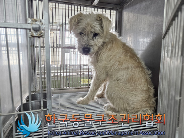 한국동물구조관리협회_441560202500004
